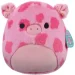 '  Jazwares   30 (SQCR05617)