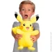   Jazwares  '  POKEMON - ϲ (, , 25 cm) 96382