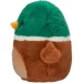   Jazwares   30  (SQCR05616)