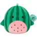 Jazwares   -  SQCR07967, 30 
