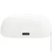 JBL   TBUDS2WHT (2721155046)