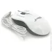  Jedel M31 White