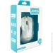  Jedel M31 White