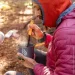 Jetboil TrailWare    (TRLWR-EU)