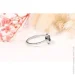 Jewellery Continent         14.5 (2321602172)