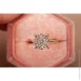 Jewellery Continent ʳ        15 (2244932352)