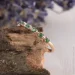 Jewellery Continent       15 (2245384095)