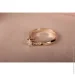 Jewellery Continent       15 (2248186952)