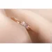 Jewellery Continent        15 (2248294421)