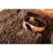   Jewellery Continent      15 (2248302844)