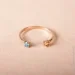 Jewellery Continent          15 (2248338430)