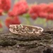 ʳ Jewellery Continent    (1611683811)