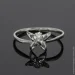 Jewellery Continent       (1611709142)