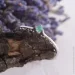 Jewellery Continent       (1619973122)