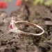 Jewellery Continent       (1624082018)