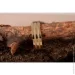 ʳ Jewellery Continent      (1625457731)