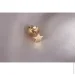  Jewellery Continent       (1629328251)