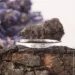 ʳ Jewellery Continent       16.5 (2248166620)
