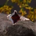 Jewellery Continent       16.5 (2249377850)