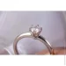 Jewellery Continent Ƴ       17.5 (2245412464)