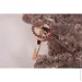 Jewellery Continent ʳ      17.5 (2246435131)