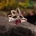 Jewellery Continent ʳ    17.5 (2248164902)