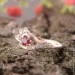 Jewellery Continent ʳ      17 (2248183211)