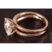 Jewellery Continent       19.5 (2249373005)