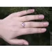 Jewellery Continent Ƴ       19 (2246276921)
