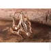 Jewellery Continent       19 (2246333053)