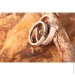  Jewellery Continent       19 (2246337142)