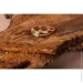 Jewellery Continent       19 (2246339309)