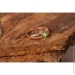 Jewellery Continent       19 (2246339309)