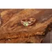 Jewellery Continent       19 (2246339309)