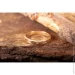 ʳ Jewellery Continent     19 (2246440579)