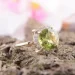 Jewellery Continent       19 (2248169696)