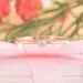 Jewellery Continent       19 (2248178997)