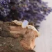 Jewellery Continent        20 (2246280004)