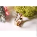 Jewellery Continent         21.5 (2244886282)