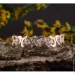 Jewellery Continent       21.5 (2245388072)