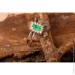 Jewellery Continent ʳ        21.5 (2246335882)