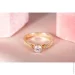Jewellery Continent         21.5 (2248142180)