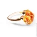 Jewellery Continent       21.5 (2248149589)