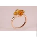 Jewellery Continent       21.5 (2248149589)