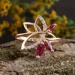 Jewellery Continent       21.5 (2248164910)