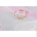 Jewellery Continent       21.5 (2249301847)