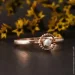 Jewellery Continent        21.5 (2249404664)