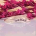 Jewellery Continent       21 (2246285405)