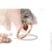 Jewellery Continent       (2200221473)