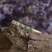 Jewellery Continent       22 (2245384109)